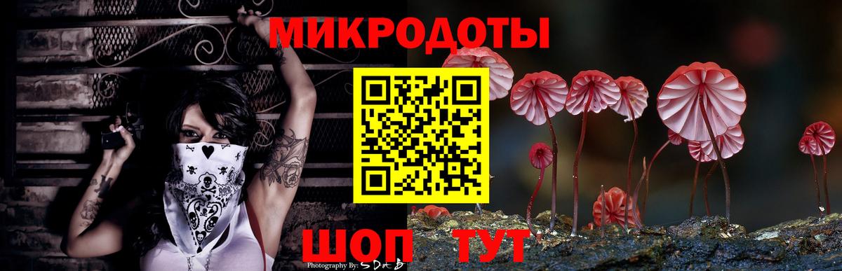 Галлюциногенные грибы Magic Shrooms  Псилоцибиновые грибы мухоморы  Вход с VPN  Прокопьевск 