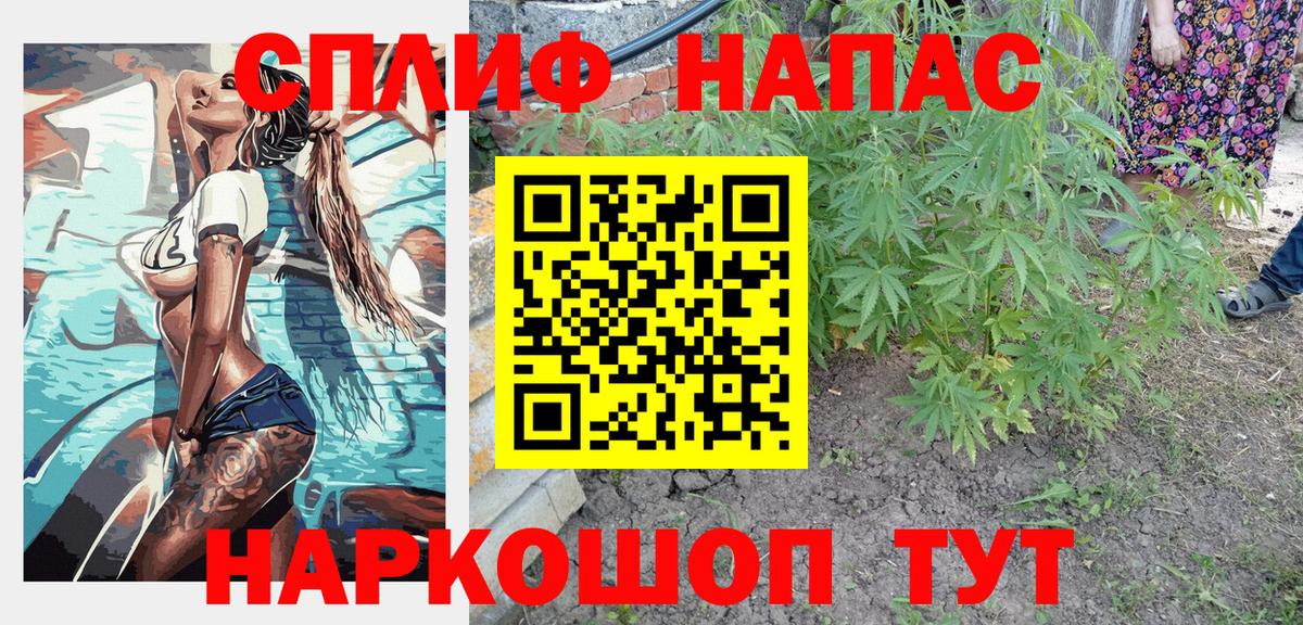 Бошки Шишки SATIVA & INDICA  Вход с VPN  Канабис план  Канабис MAZAR  Прокопьевск 
